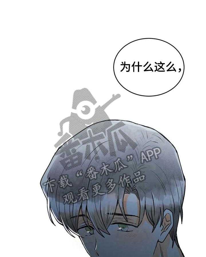 28.jpg