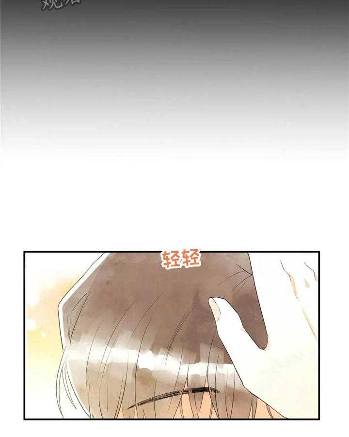 17.jpg