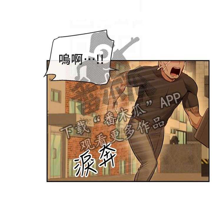 29.jpg