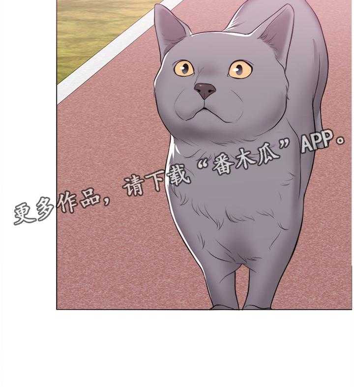 36.jpg