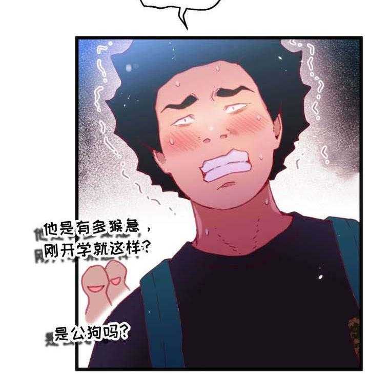 35.jpg