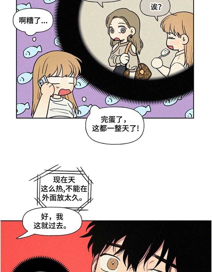 16.jpg