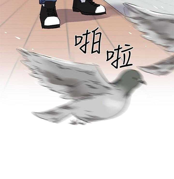 41.jpg