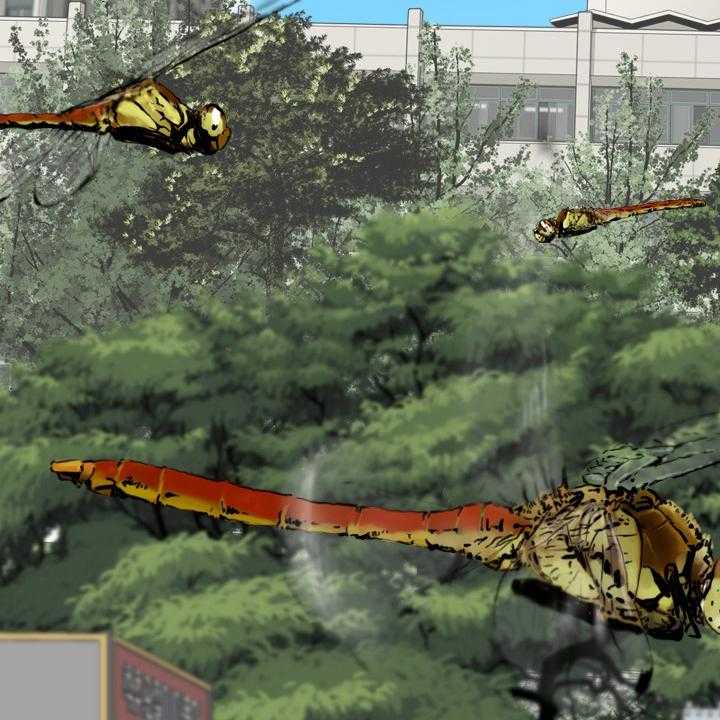 34.jpg