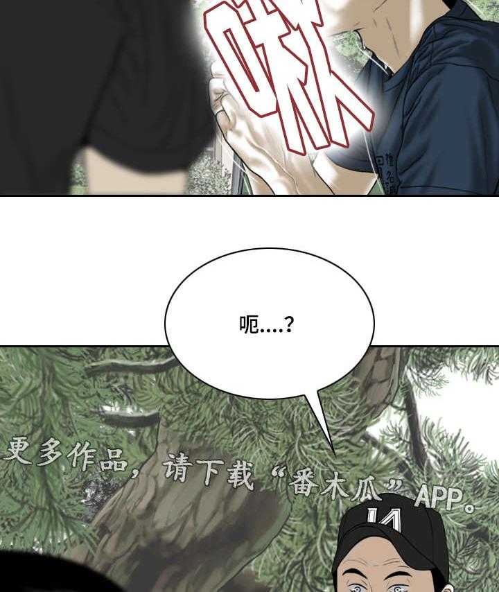 41.jpg