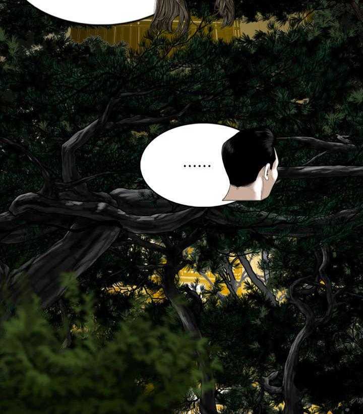 29.jpg