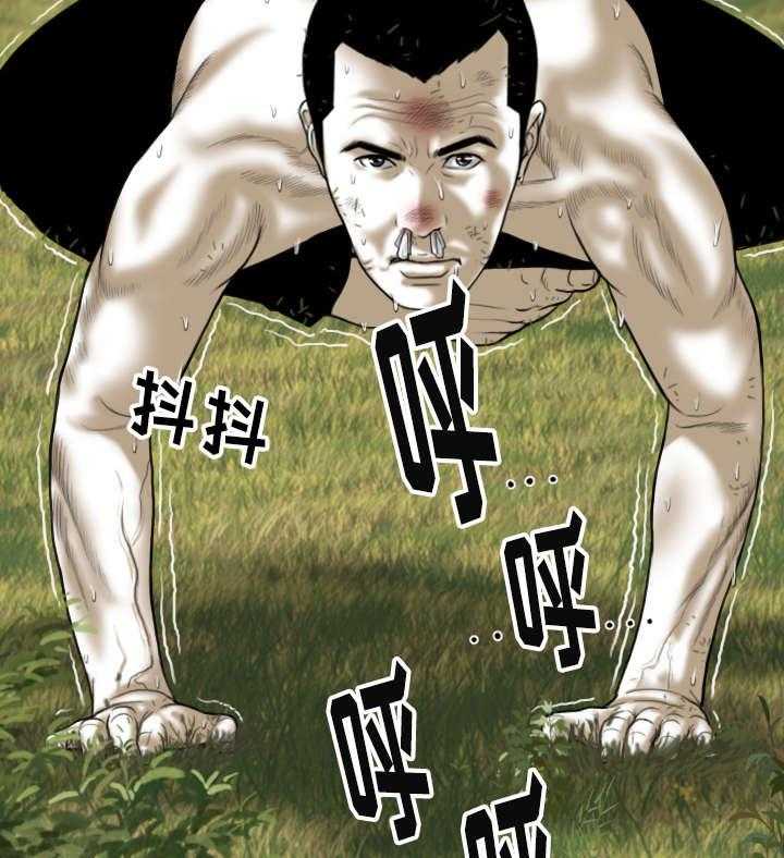 43.jpg