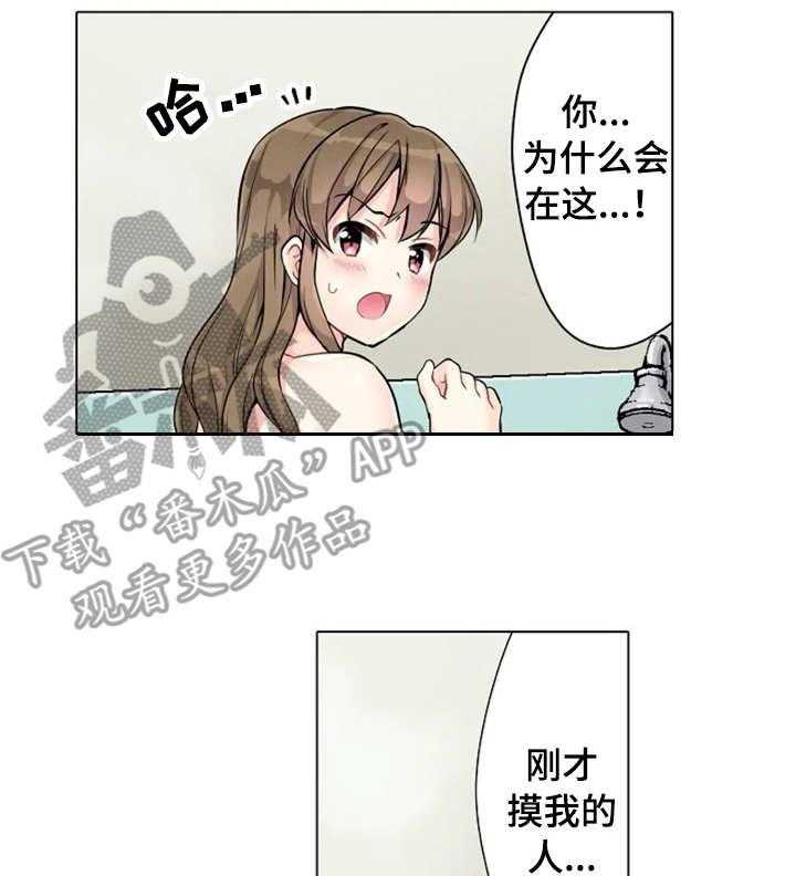 17.jpg