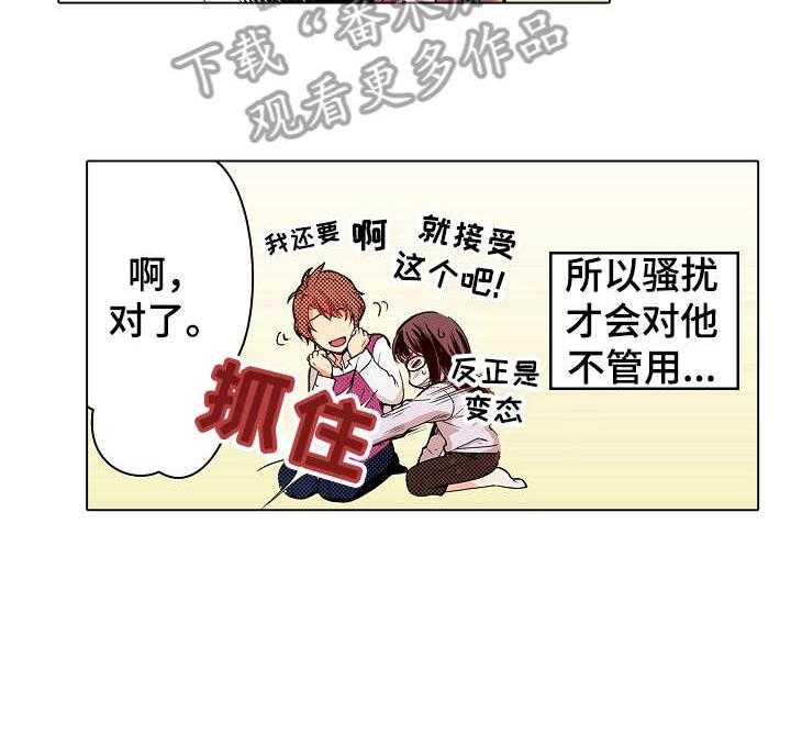 29.jpg