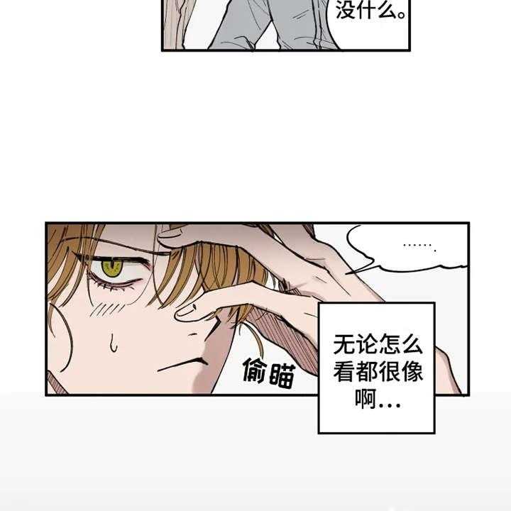 32.jpg