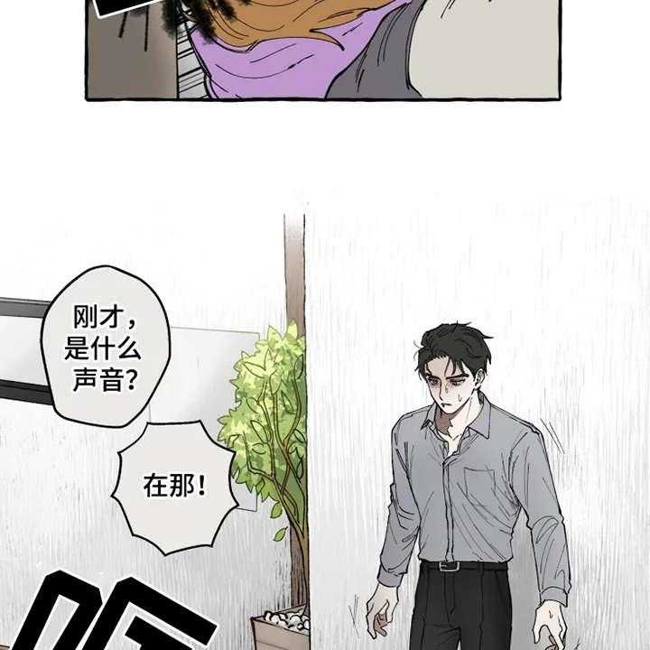 23.jpg