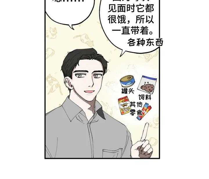 19.jpg
