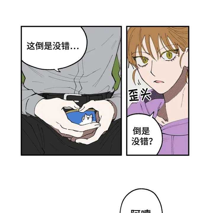 21.jpg