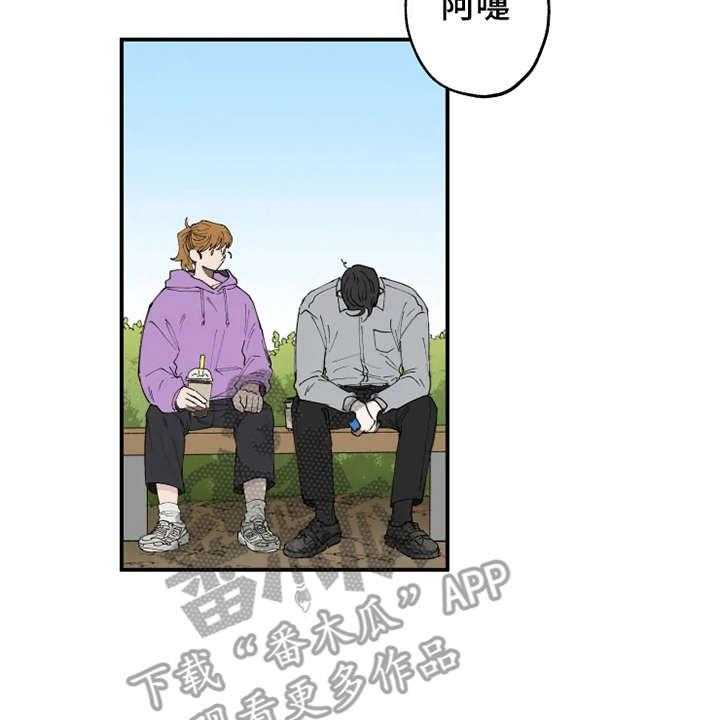 22.jpg