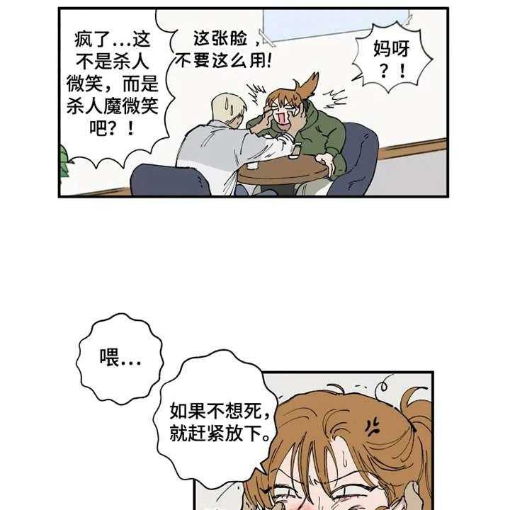 15.jpg