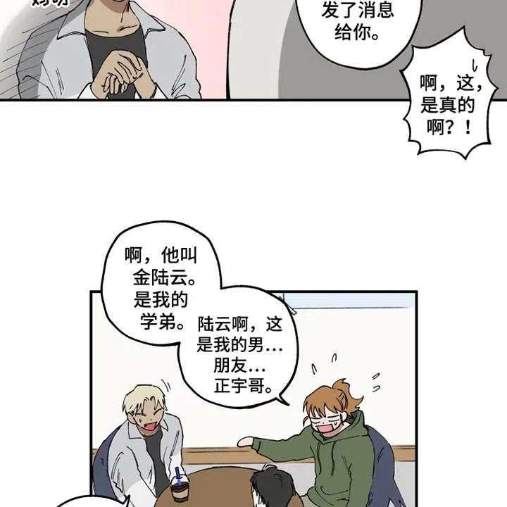 21.jpg