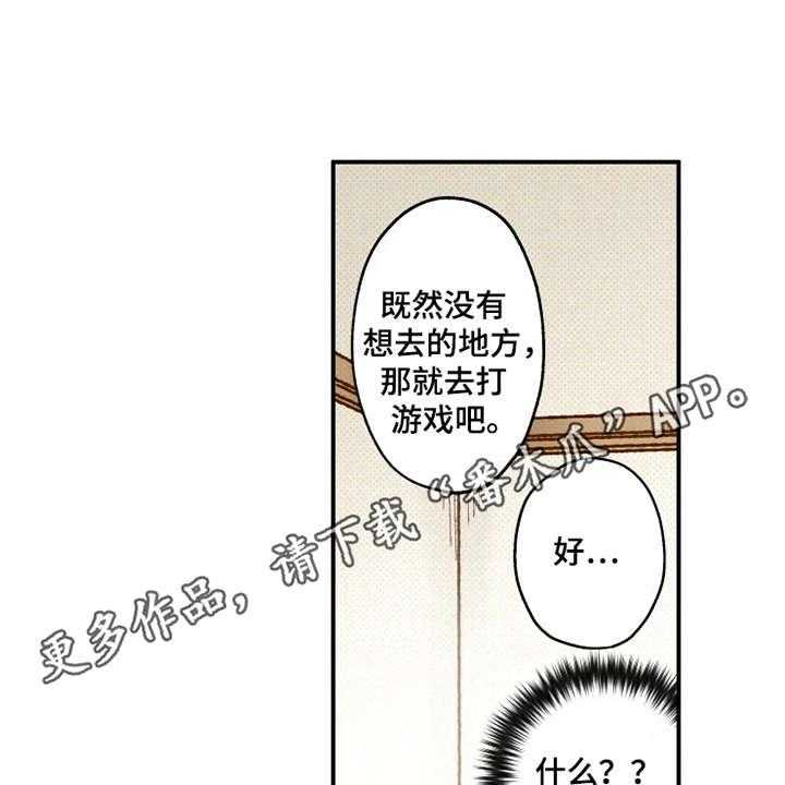 15.jpg