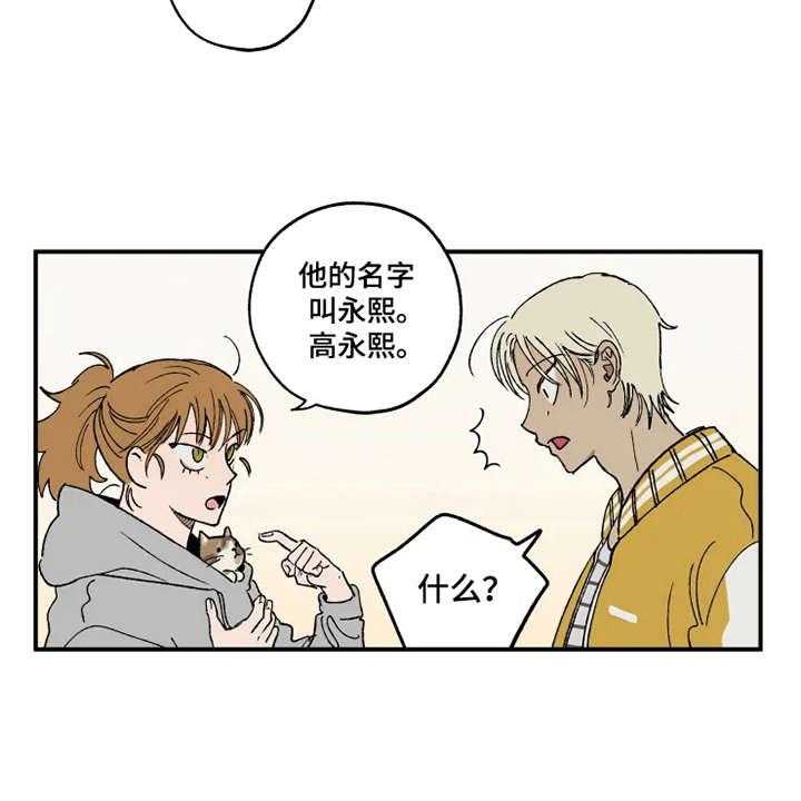 15.jpg