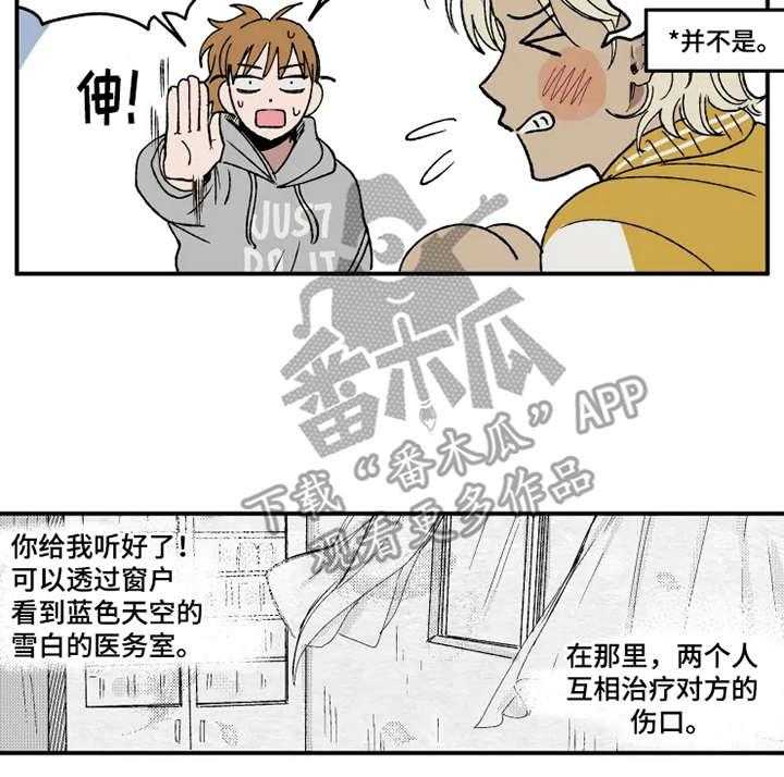 11.jpg