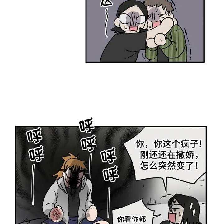 19.jpg