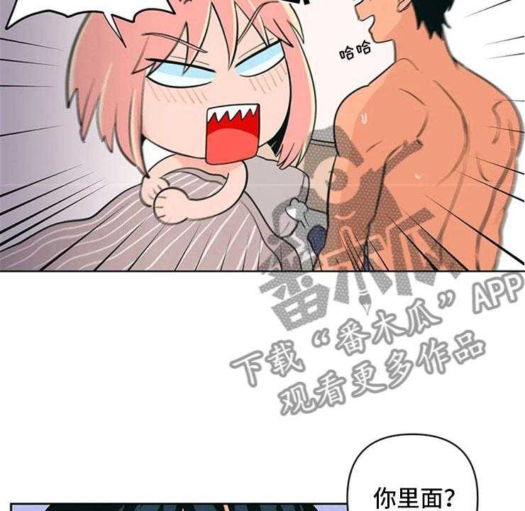 37.jpg