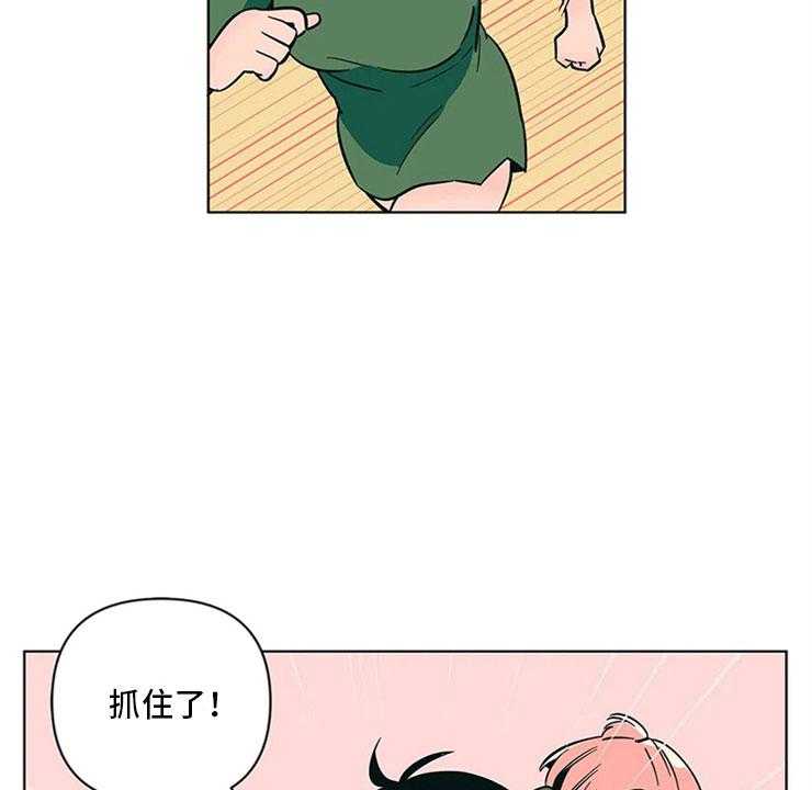 26.jpg