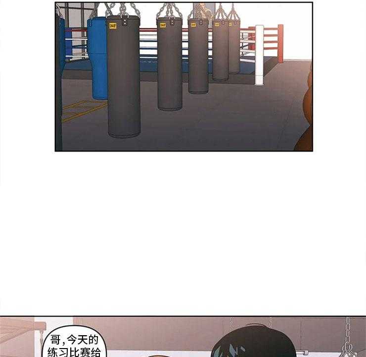 17.jpg