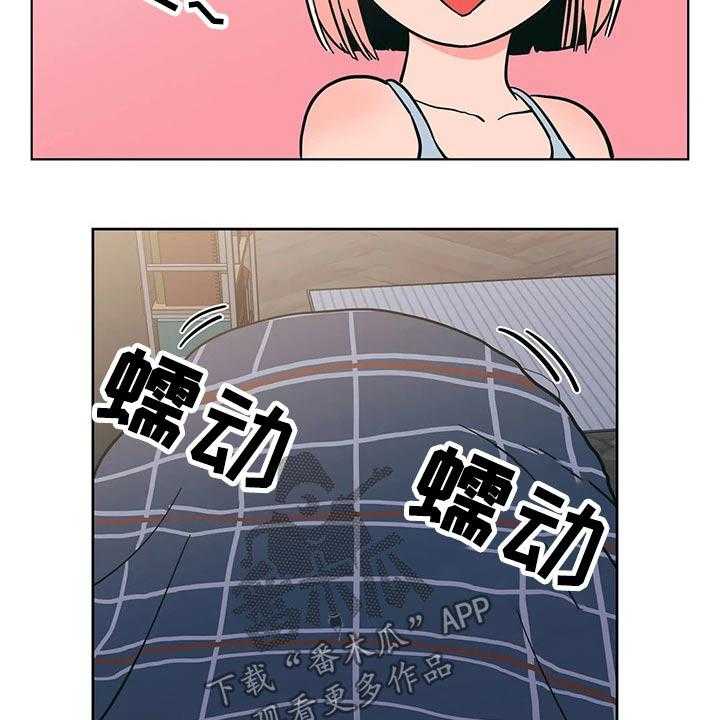 17.jpg