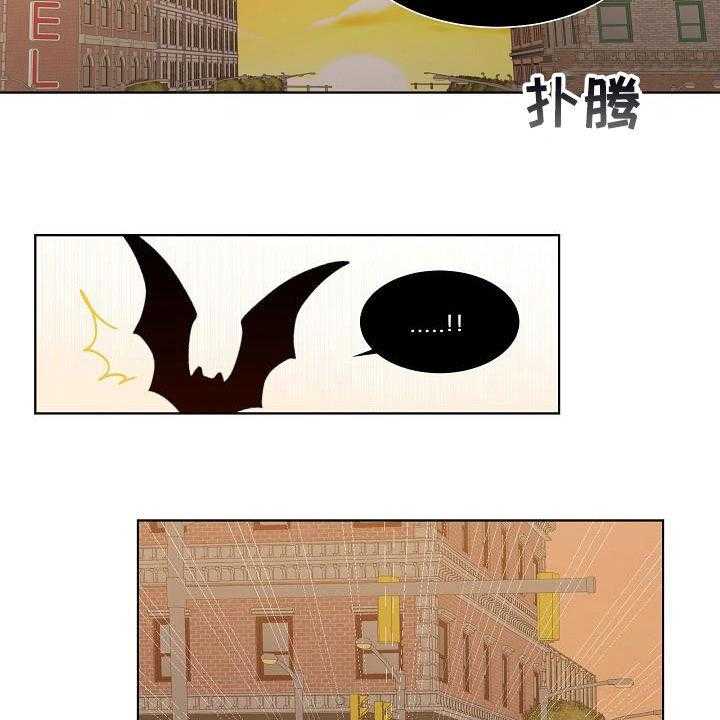 25.jpg
