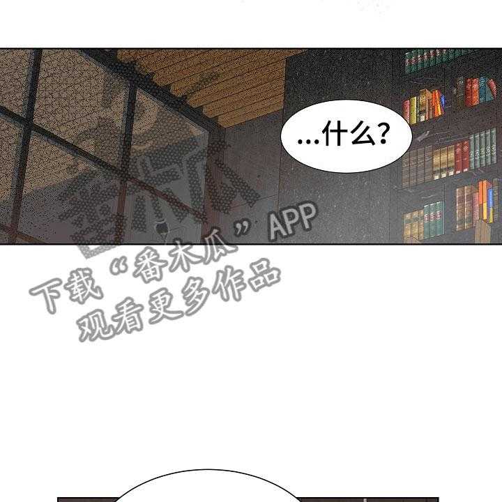 48.jpg