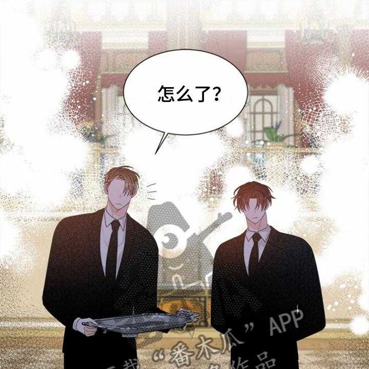 48.jpg