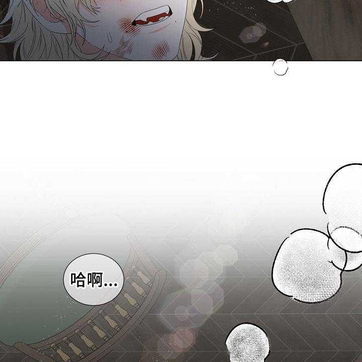 41.jpg