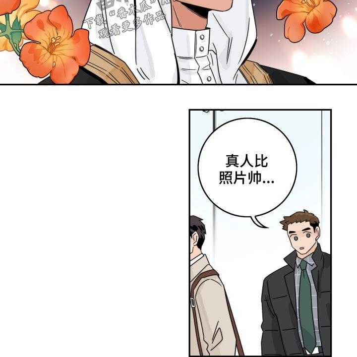 24.jpg