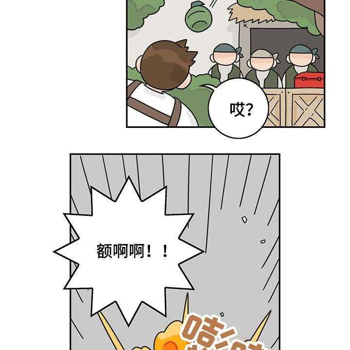21.jpg