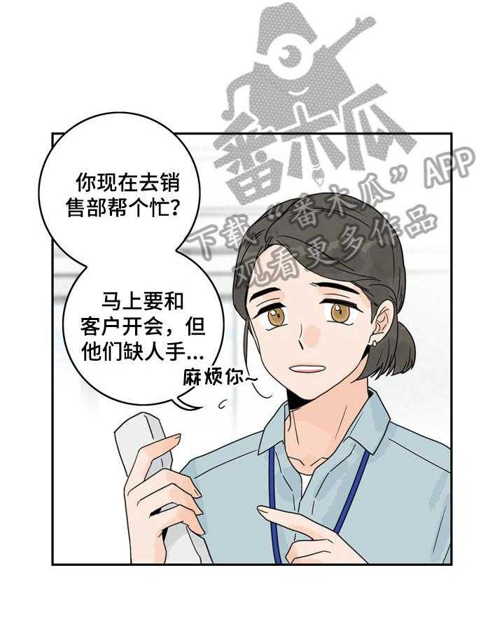 17.jpg