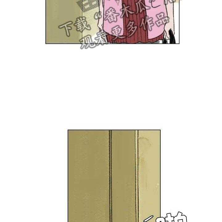 47.jpg