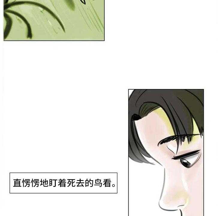 23.jpg