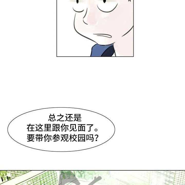 26.jpg