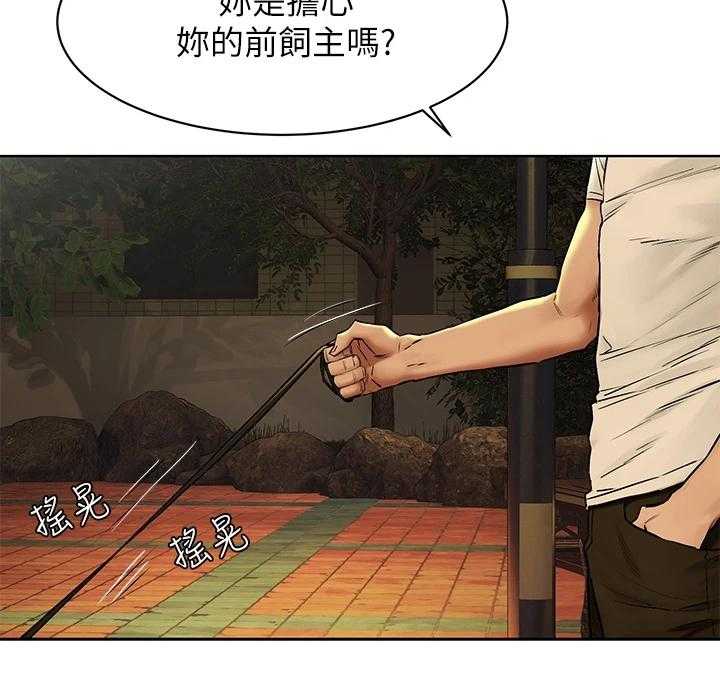41.jpg