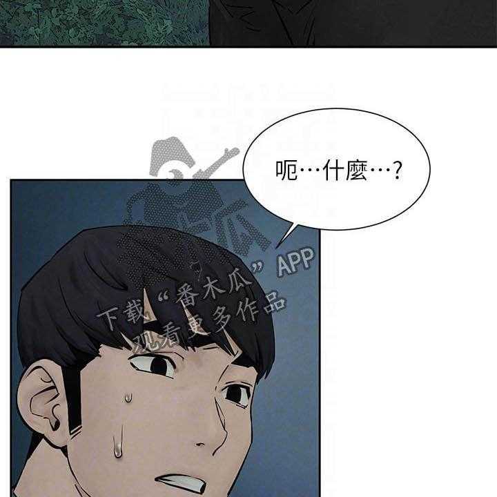 33.jpg