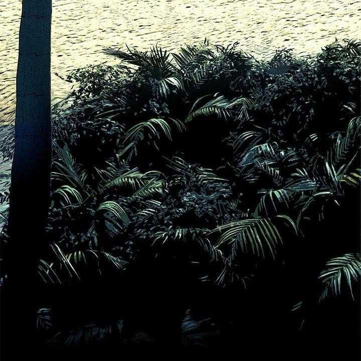 44.jpg