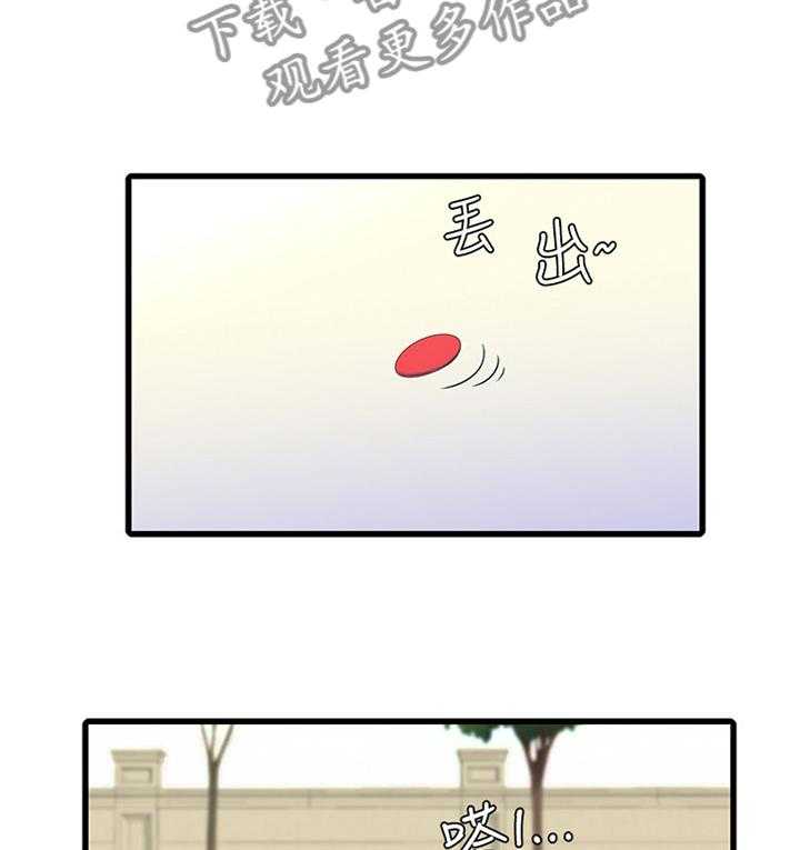 13.jpg