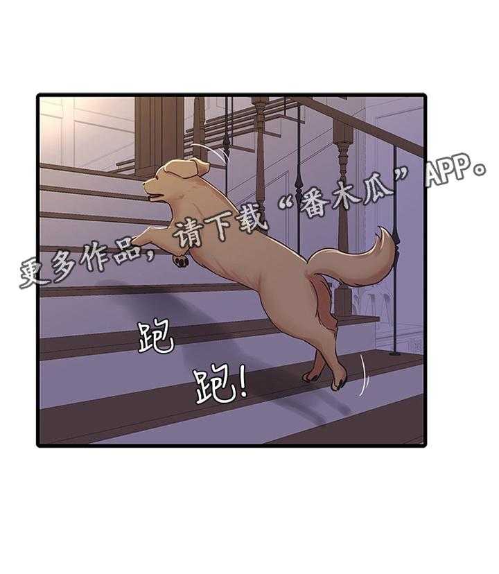 37.jpg