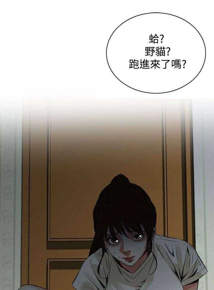 25.jpg