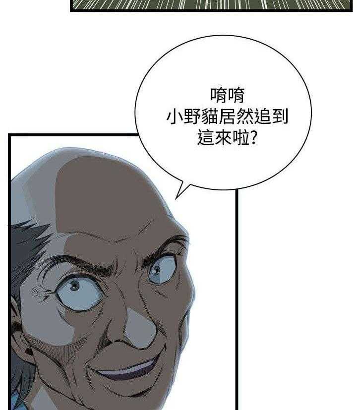 26.jpg