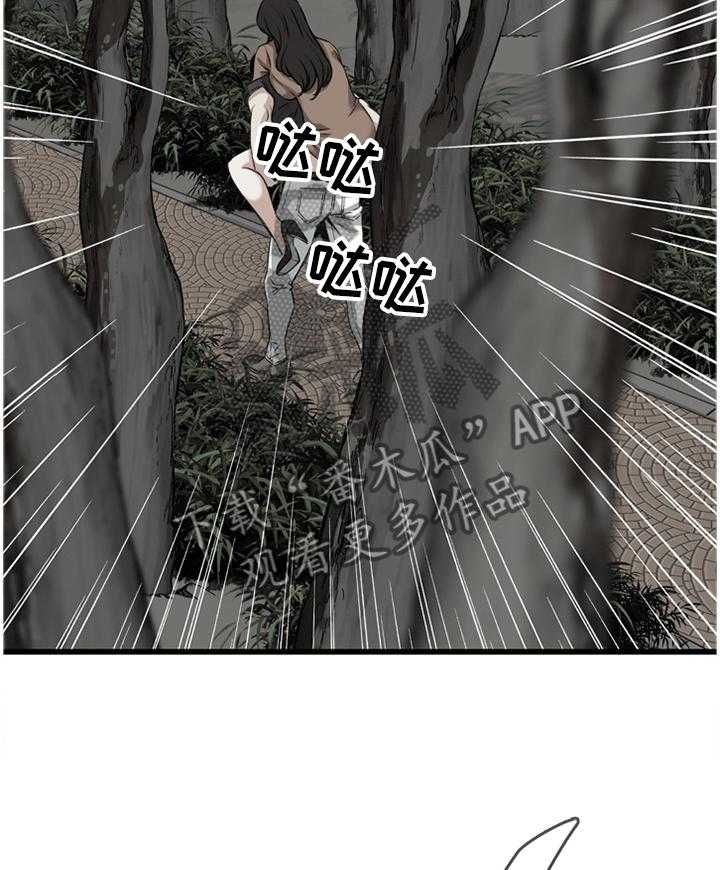 29.jpg