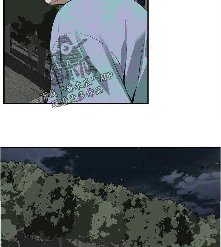 15.jpg