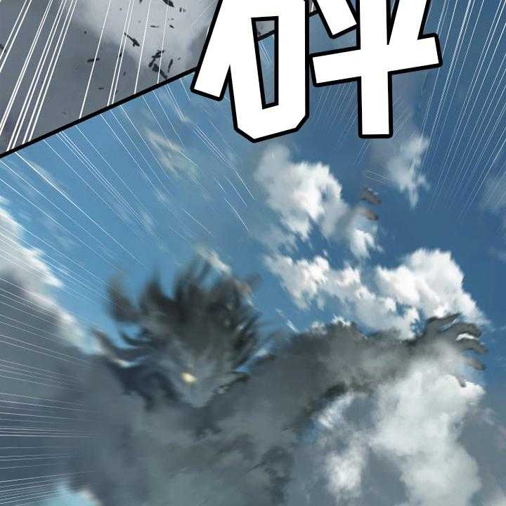 41.jpg