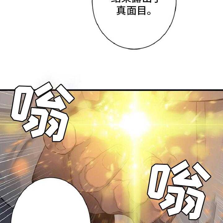 37.jpg