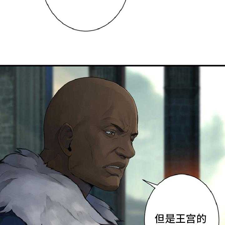 41.jpg
